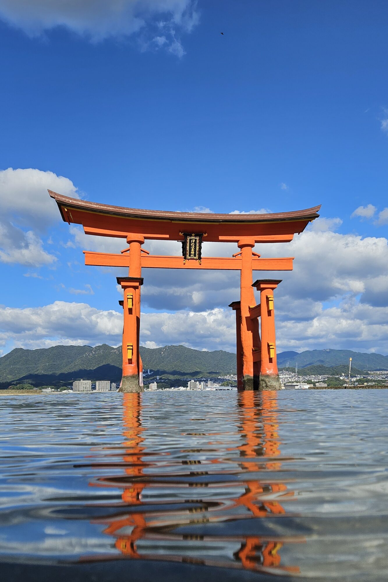 The Gate That Floats at High Tide